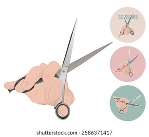 Scissors are an important work tool for hairdressers and barbers.