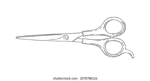 Scissors sketch. Hairdresser shears tool. Vector illustration isolated in white background
