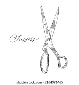 Scissors in sketch style. Hand drawn vector illustration. Vintage tailor tool