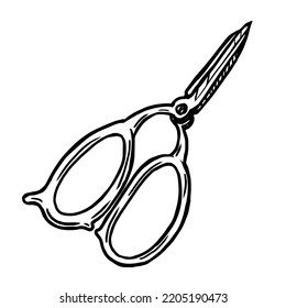 Scissors vector illustration isolated on white background