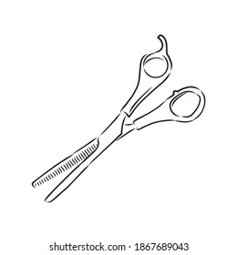 scissors vector sketch illustration. Doodle style scissors illustration
