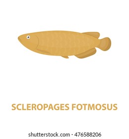 Scleropages fotmosus fish icon cartoon. Singe aquarium fish icon from the sea,ocean life cartoon.