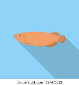 Scleropages fotmosus fish icon flat. Singe aquarium fish icon from the sea,ocean life flat.