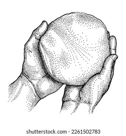Scoby mushroom in human hands, for making kombucha tea. Fermented probiotic homemade drink. Healthy fungus drink. Graphic drawing, pointillism. Realistic hand-drawn vector, engraving sketch.