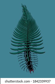 Scolopendra con hoja tropical. Insectos con palmera. Impresión vectorial de estilo tatuaje. Afiche con escarabajo y flora exótica. Concepto de mimetismo.