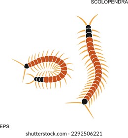 Scolopendra Logo. Einzeln Skolopendra auf weißem Hintergrund