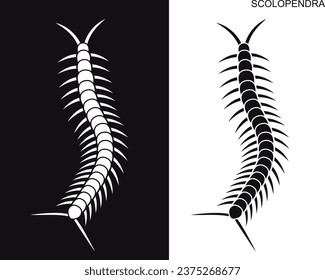 Scolopendra logo. Isolated scolopendra on white background