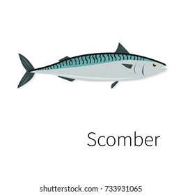 Scomber vector icon. Flat, simple,isolated.