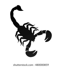 scorpio animal insect zodiac sign