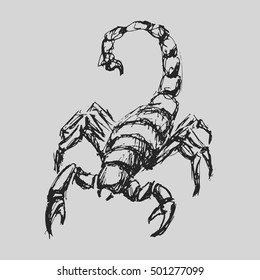 Scorpio Astrological zodiac symbol. Horoscope sign background. Sketch style. Vector Illustration.