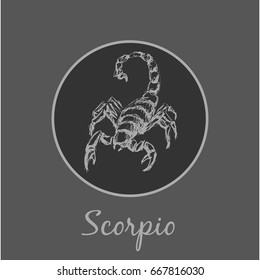 Scorpio Astrological zodiac symbol. Horoscope sign.