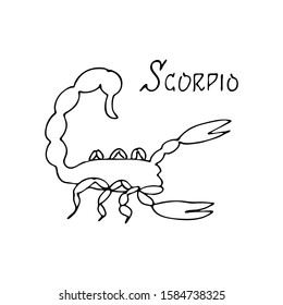 Scorpio in black line. Hand drawn vector illustration. Zodiac sign, Horoscope constellation.