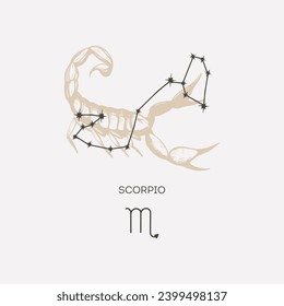 Scorpio constellation vector illustration. Scorpio constellation astrological drawing