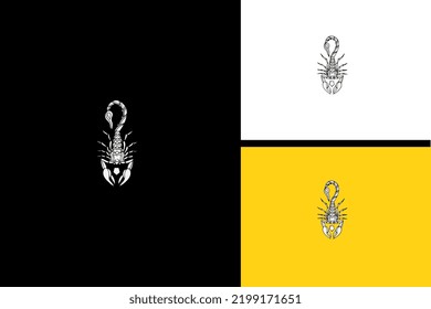 scorpio and flower vector illustration design