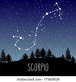 Scorpio hand drawn Zodiac sign constellation in a starry night sky over the coniferous forest. Vector graphics astrology illustration. Western horoscope mystic symbol in nature.