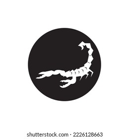 Scorpio Icon and symbol vector template