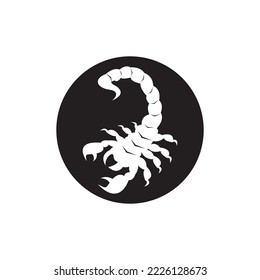 Scorpio Icon and symbol vector template