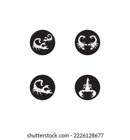 Scorpio Icon and symbol vector template