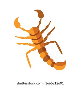 scorpio insect over white background, flat style icon, vector illustration
