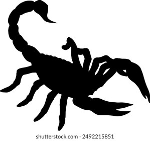 Signo del zodiaco del insecto del escorpión, silueta de un escorpión, tatuaje del escorpión