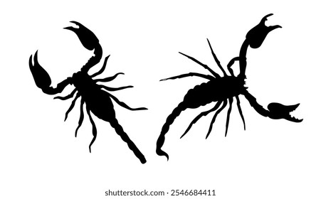 Signo del zodiaco del insecto Escorpio, Silueta de un escorpión, Tatuaje de Escorpio. Dibujo a mano. No IA, Ilustración vectorial