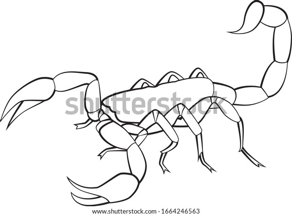 Scorpio Line Art Vector Illustration Stock Vector (Royalty Free ...