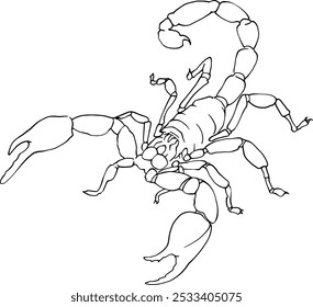 Scorpio linear drawing, vector image. Small poisonous creature. For printing horoscopes, calendars, logos. For creating tattoos and engravings, website design. From the horoscope collection.