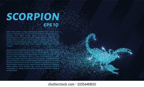 Scorpio of the particles. Scorpio consists of circles and points. Vector illustration.