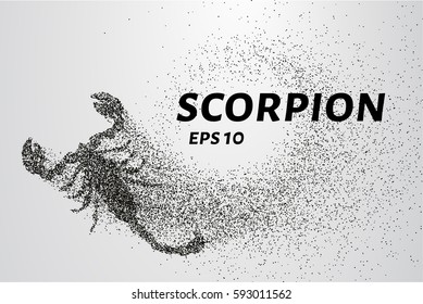 Scorpio of the particles. Scorpio consists of circles and points. Vector illustration.