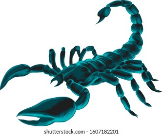 Scorpio. realistic scorpion vector illustration svg