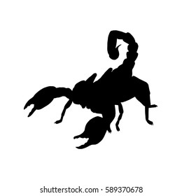 Scorpio silhouette. Hand drawn image. Black white icon. Vector illustration. Logo desing