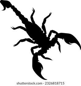 Scorpio silhouette vector icon illustration 