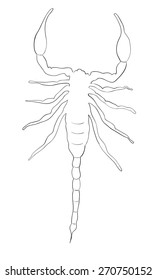Scorpio sketches