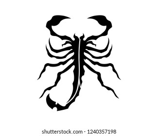Scorpio and stinger vector animal design
