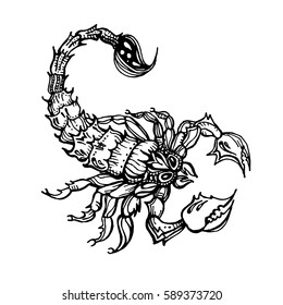 Scorpio. Tattoo animal poisonous. Totem. Vector illustration isolated. 