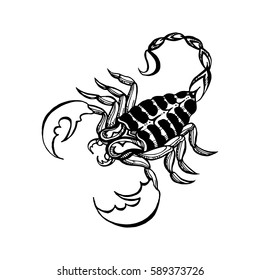 Scorpio. Tattoo animal poisonous. Totem. Vector illustration isolated. 