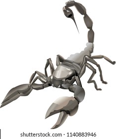 Scorpio vector illustration isolated on white background