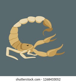 Scorpio vector illustration,flat style ,profile side