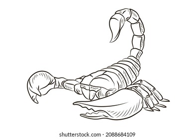 Scorpio, Vector Image. Black And White Drawing, Coloring For Children. Symbol.