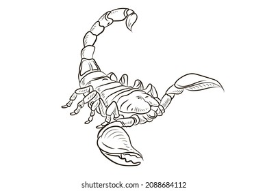 94 Scorpion tattoo picture Images, Stock Photos & Vectors | Shutterstock