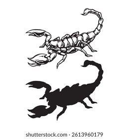 Scorpio vector set illustration, Isolated on white background.