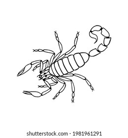 Escorpio. Ilustración de material vectorial eps10. Contorno, Aislar sobre un fondo blanco. 