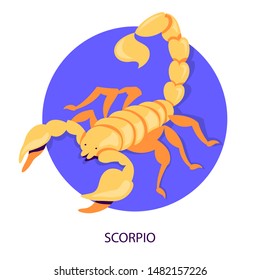 Scorpio zodiac. Astrology and horoscope calendar. Astrological scorpion symbol. Isolated vector illustration in cartoon style