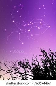 Scorpio zodiac constellations sign with forest landscape silhouette on beautiful starry sky with galaxy and space behind. Scorpio horoscope symbol constellation on deep cosmos background. Card design