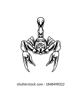scorpio zodiac illustration for merchandise or poster designs