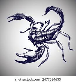 Scorpio, zodiac sign or animal. Hand-drawn vector illustration for your natural design.