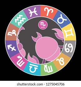Scorpio zodiac sign. Aquarius, libra, leo, taurus, cancer, pisces, virgo, capricorn, sagittarius, aries, gemini. Cartoon  scorpion. Astrological color vector horoscope. Colorful elements