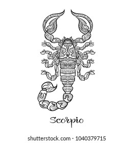 Scorpio Zodiac sign. Astrological horoscope collection. Outline vector illustration. Outline hand drawing coloring page for the adult coloring book. 