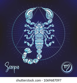 Scorpio Zodiac sign. Astrological horoscope collection. Multicolor on black dackground. Vector illustration