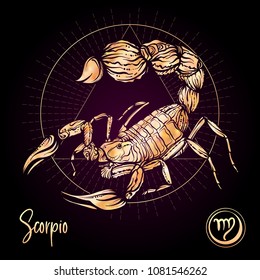 Scorpio Zodiac sign. Astrological horoscope collection. Rose gold on black dackground. Vector illustration